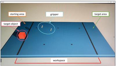 A human-in-the-loop haptic interaction with subjective evaluation